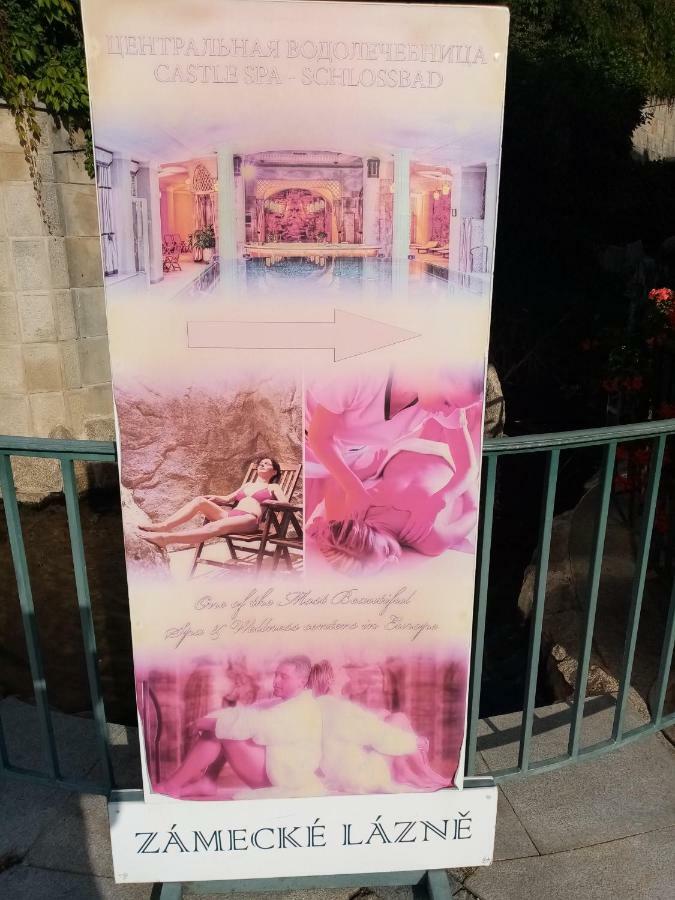 Apartmán Orchidej u Vřídla KLV Exterior foto